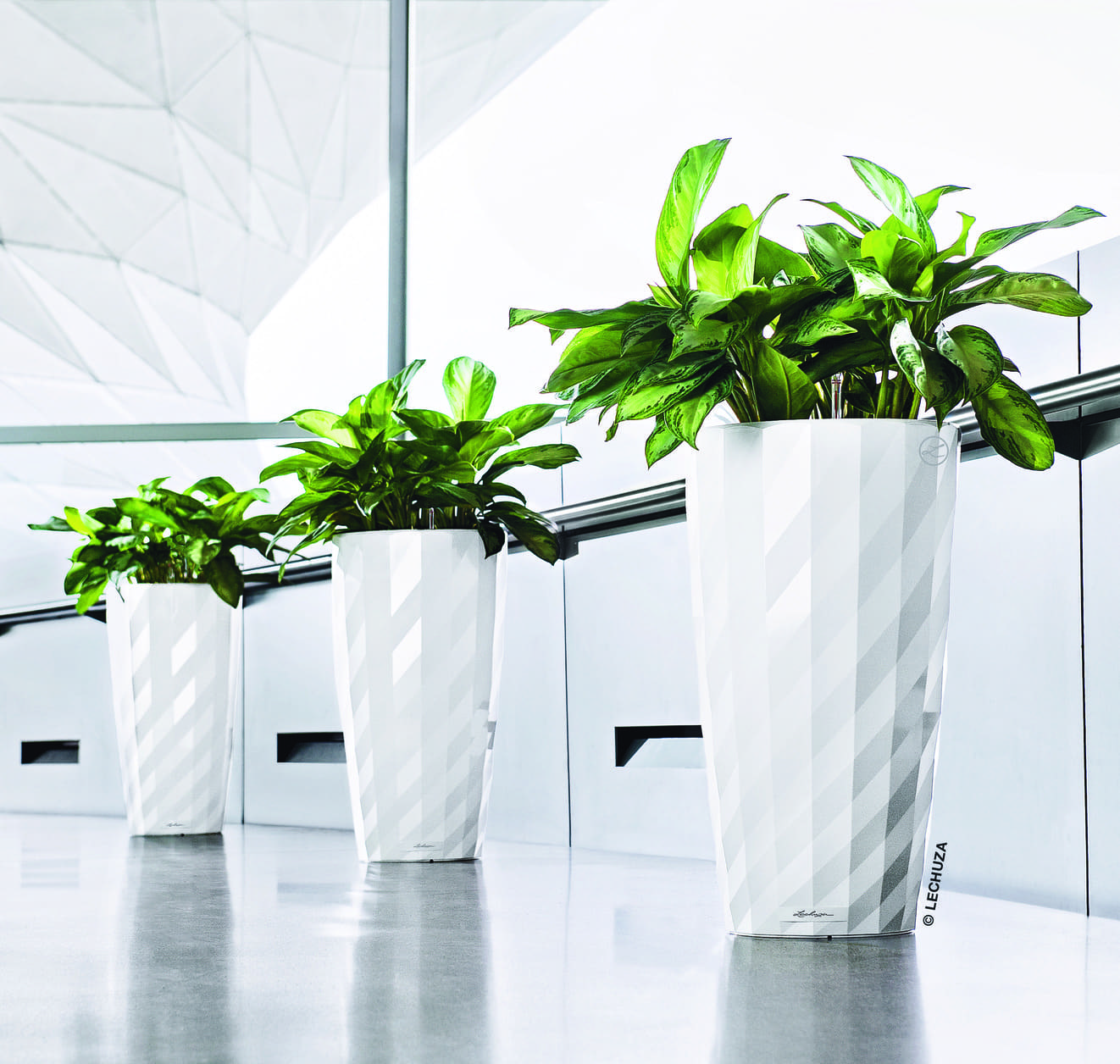 The best houseplants to display in planters on legs