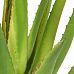 Aloe with Pot Artificial Flower Plant
