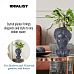 IDEALIST Lite Antique Oval Face Plant Pot Indoor