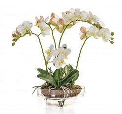 AN-Glass Orchid with Soil White Artificial Flower Plant