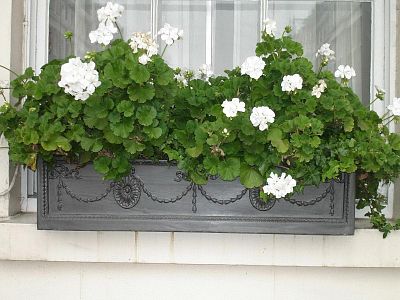 Adam Window Flower Box Fiberglass Trough Faux Lead Planter Pot In/Out