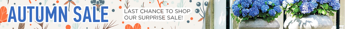 AUTUMN SALE