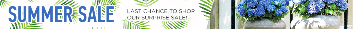 SUMMER SALE