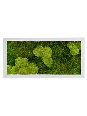 Moss Painting Superline Rectangle