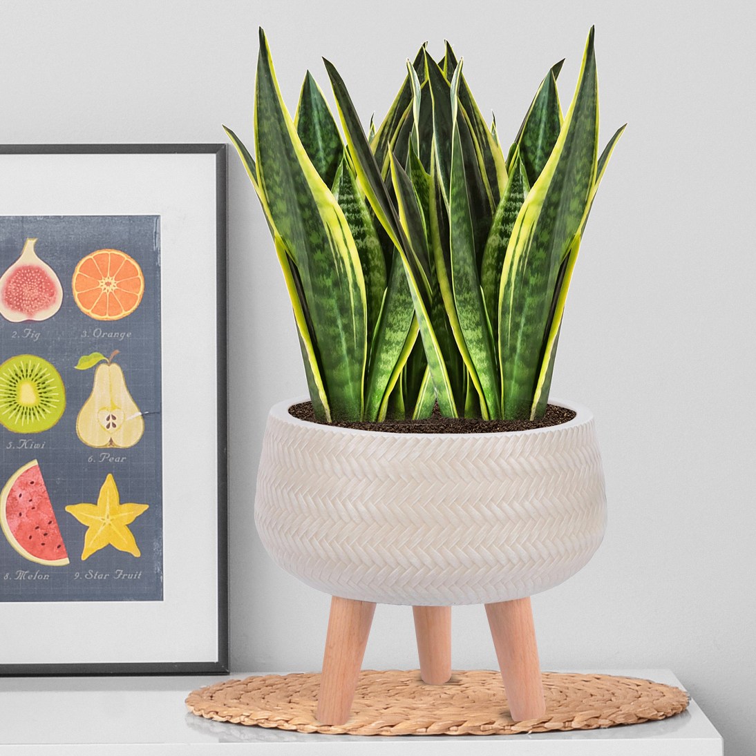 IDEALIST Lite Plaited Style Bowl Planter on Legs, Round Pot Plant Stand Indoor