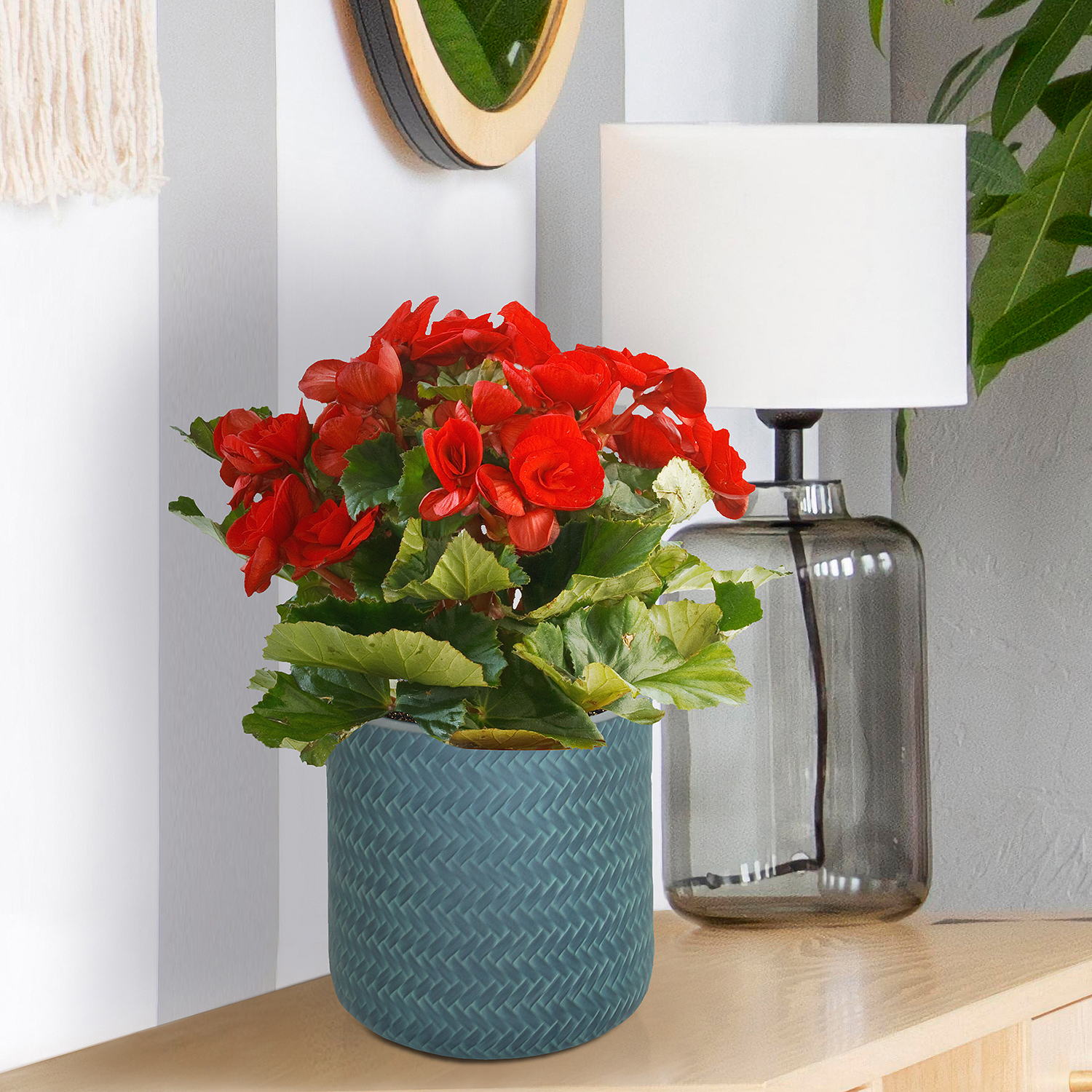 IDEALIST Lite Plaited Style Table and Hanging Cylinder Round Plant Pot Dual Use Indoor Planter