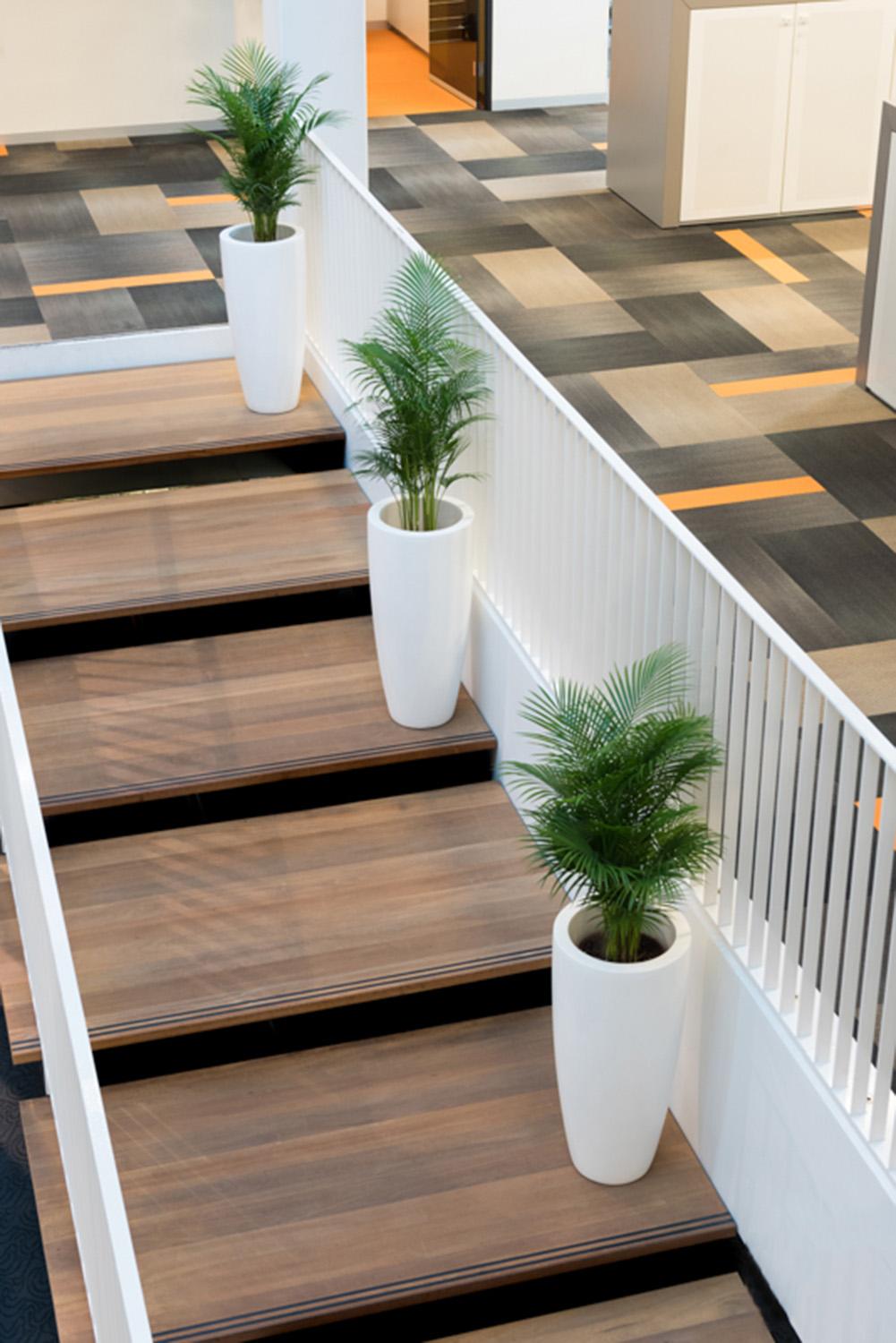 Fibrestone Dax Tall Planter by Idealist Premium