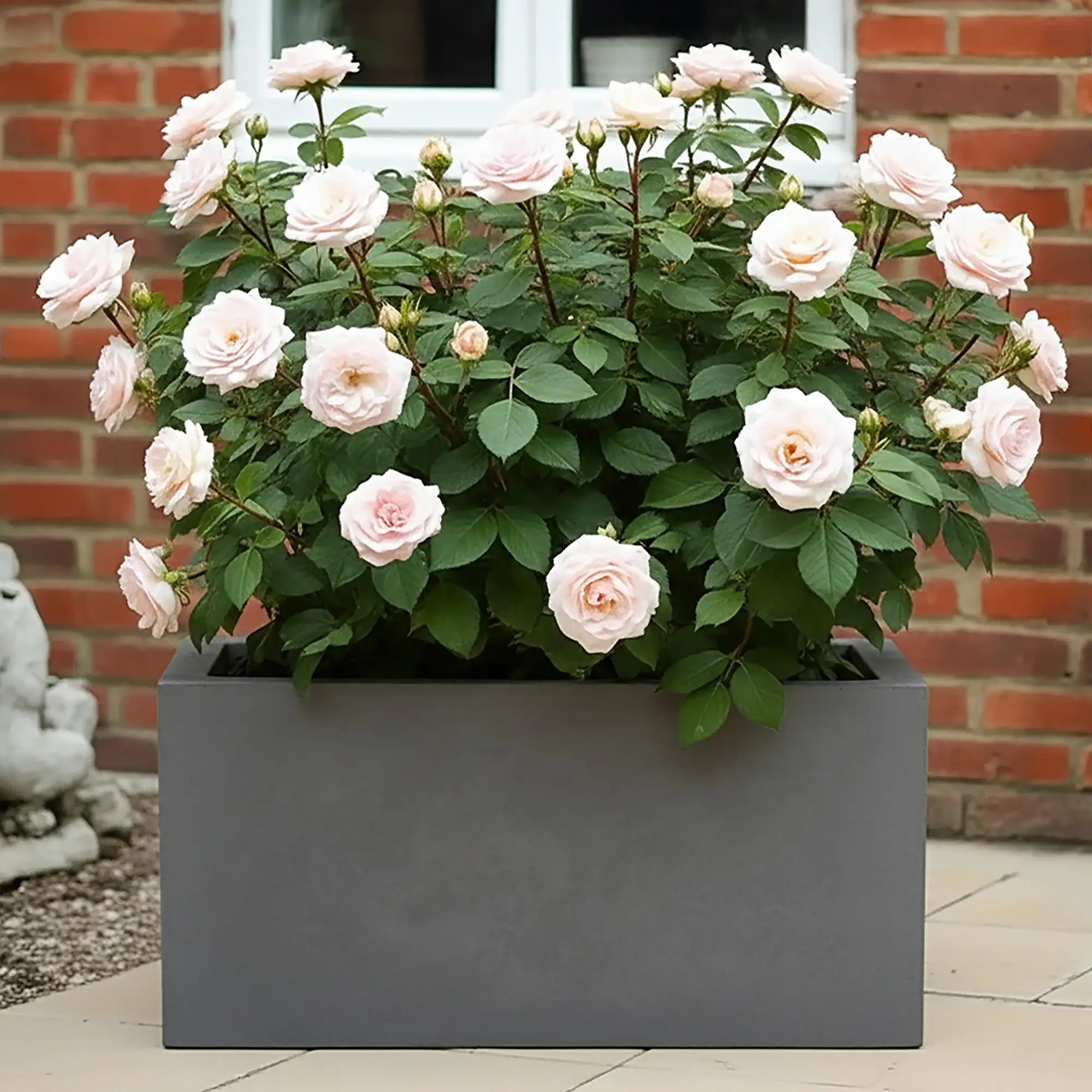 IDEALIST Lite Contemporary Light Concrete High Trough Planter Set