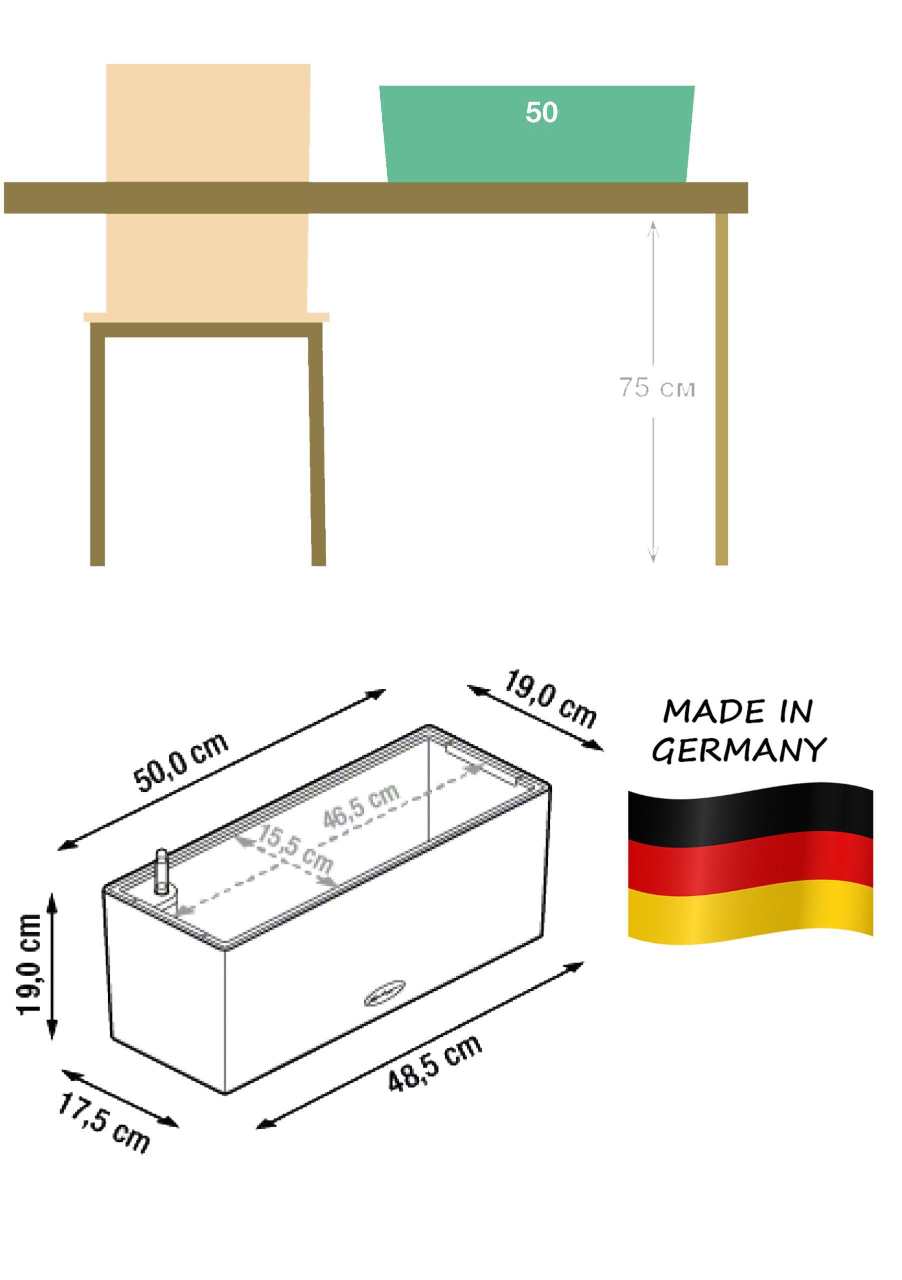 Ivy in LECHUZA BALCONERA Color Self-watering Planter, Total Height 50 cm