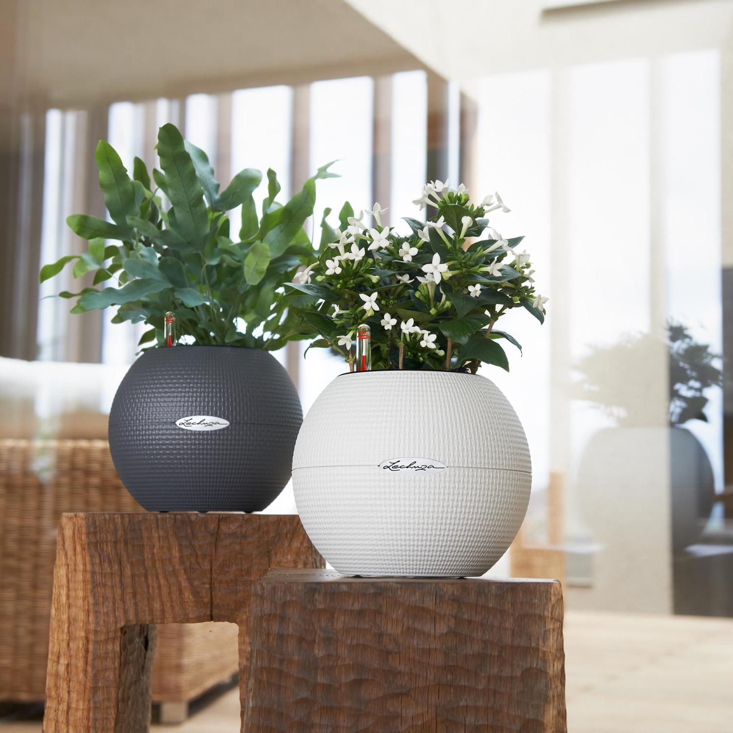 LECHUZA PURO Color Round Poly Resin Self-watering Planter