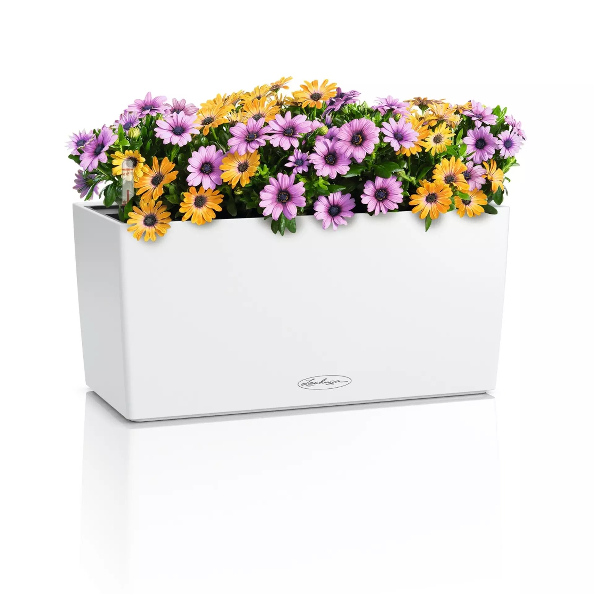 LECHUZA BALCONERA Color Trough Poly Resin Self-watering Planter