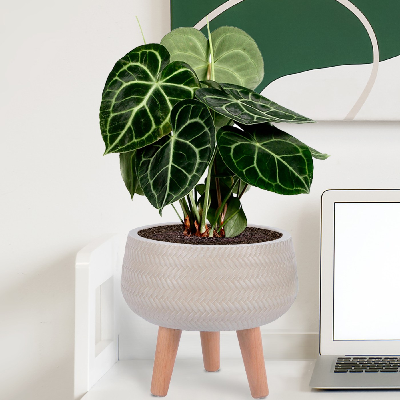 IDEALIST Lite Plaited Style Bowl Planter on Legs, Round Pot Plant Stand Indoor