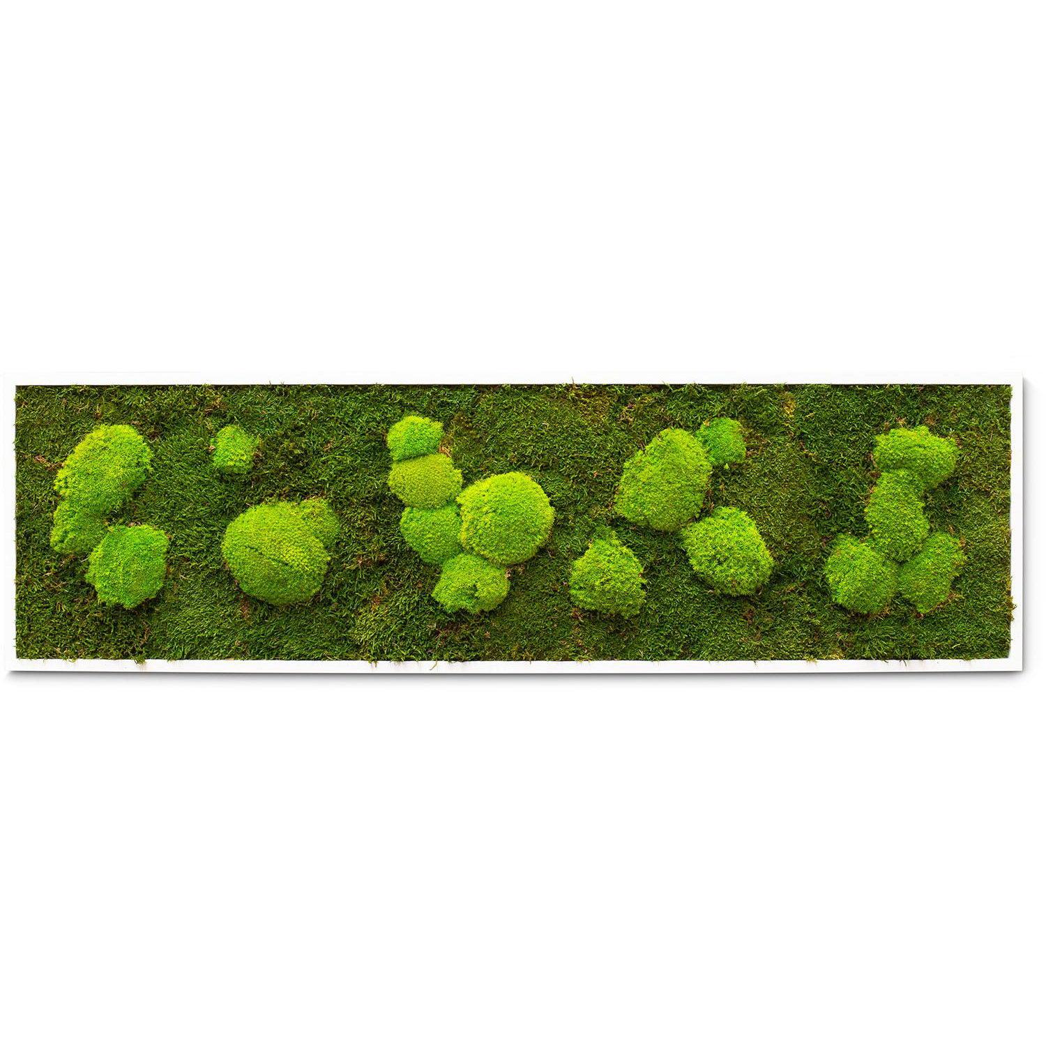 PREMIUM Moss Wall Art Artificial Moss Plant