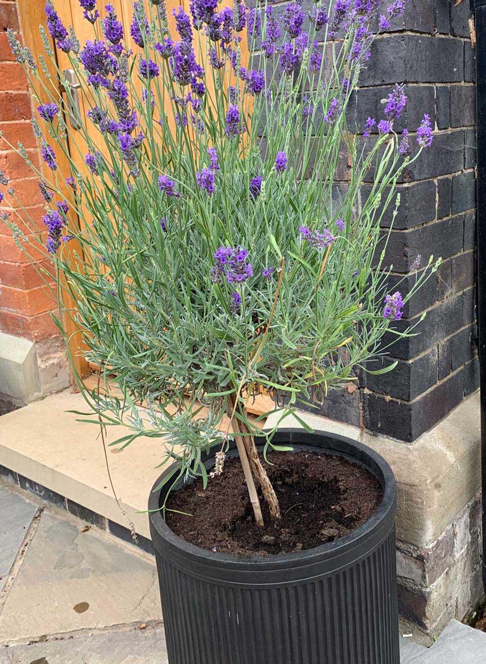 IDEALIST Lite Vertical Ribbed Vintage Style Round Planter