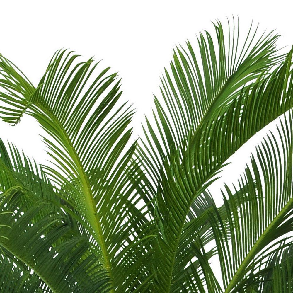 Palm Cycas UV-resistant Artificial Tree Plant