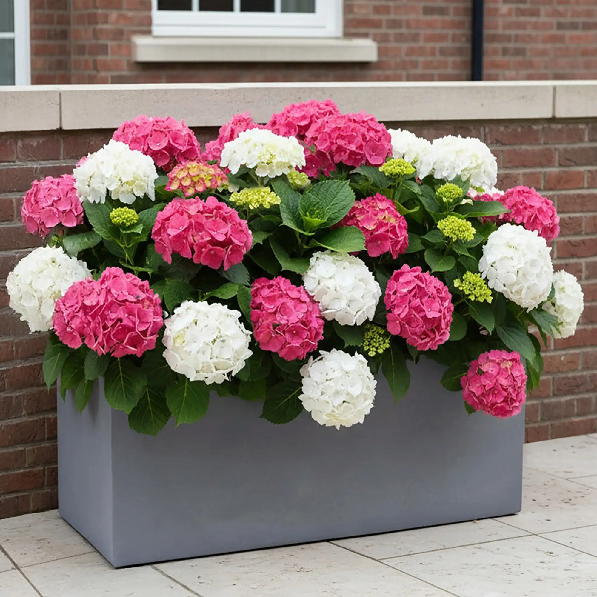 IDEALIST Lite Contemporary Light Concrete High Trough Planter