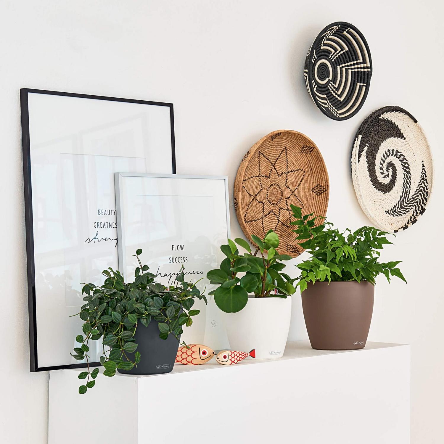 LECHUZA CLASSICO Color Round Poly Resin Self-watering Planter