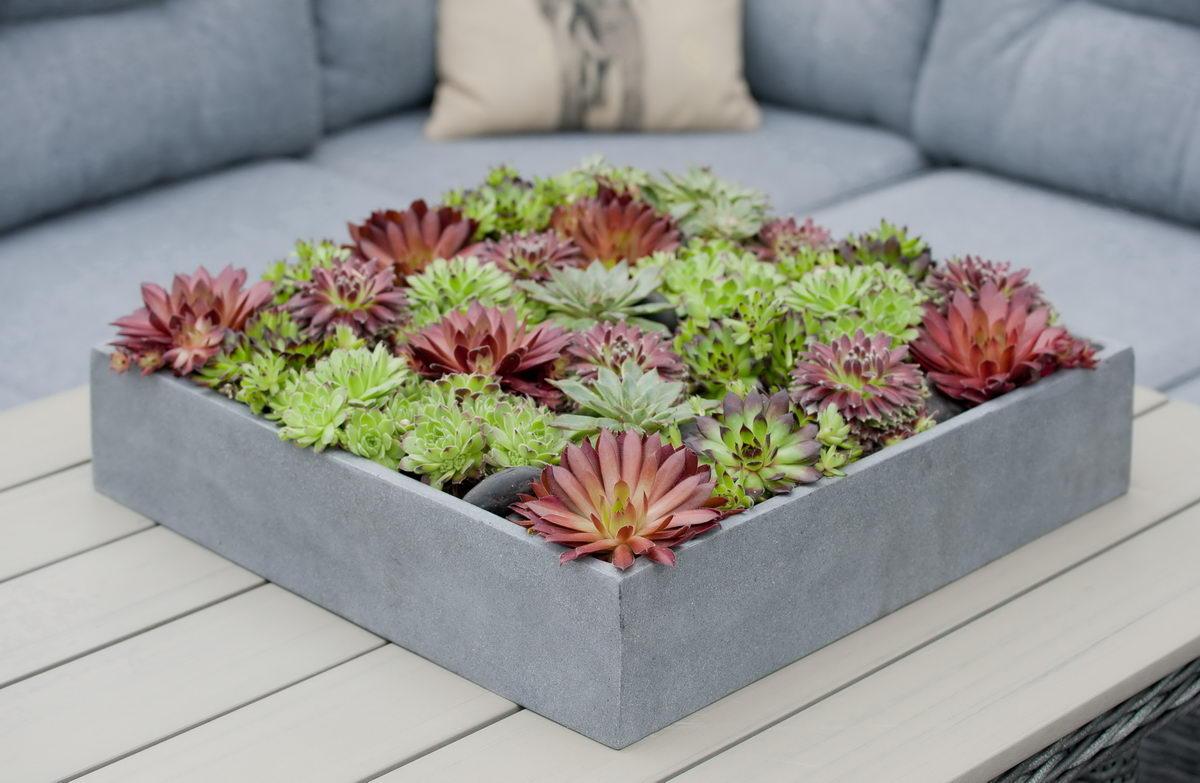 Square Fiberstone Low Planter by Idealist Premium JUMBO