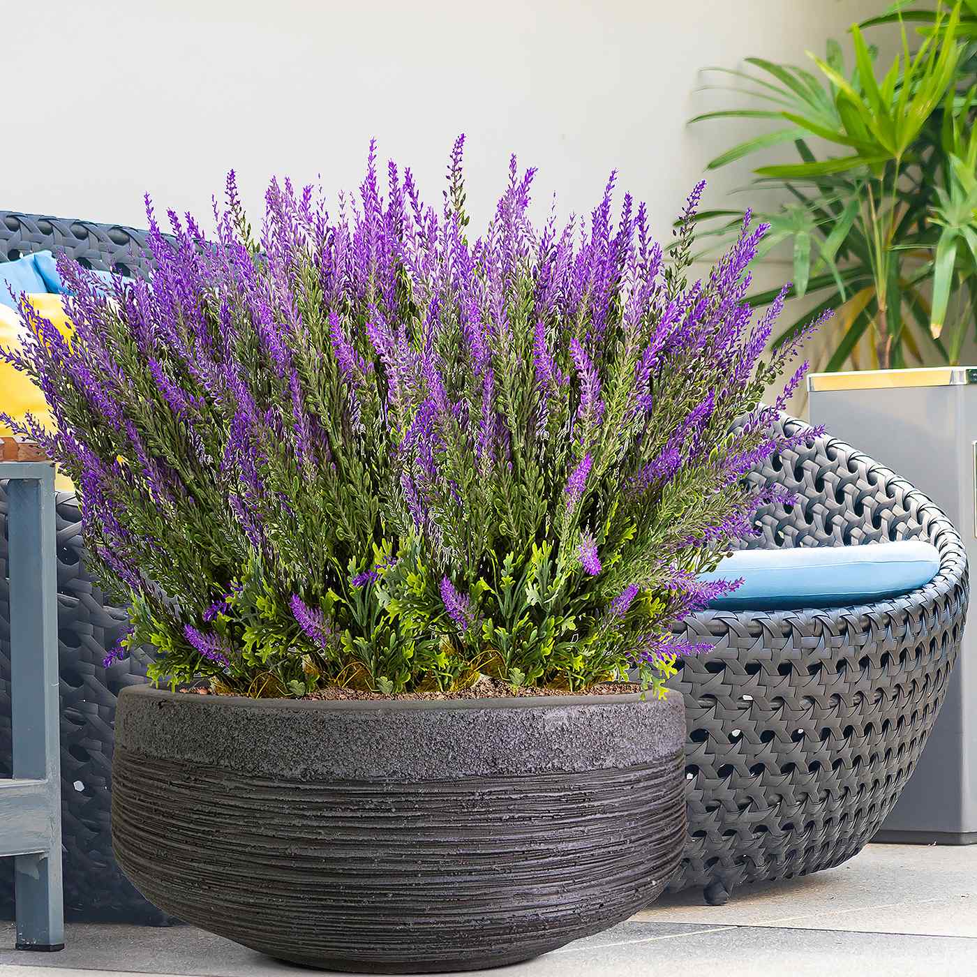 IDEALIST Lite Ribbed Light Concrete Bowl Planter
