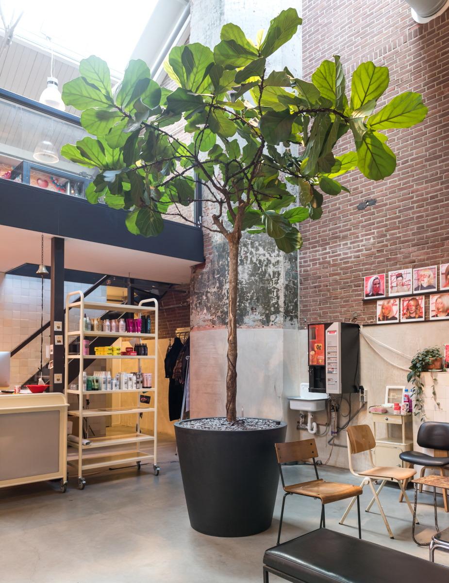 Fiberstone Round Planter by Idealist Premium BUCKET