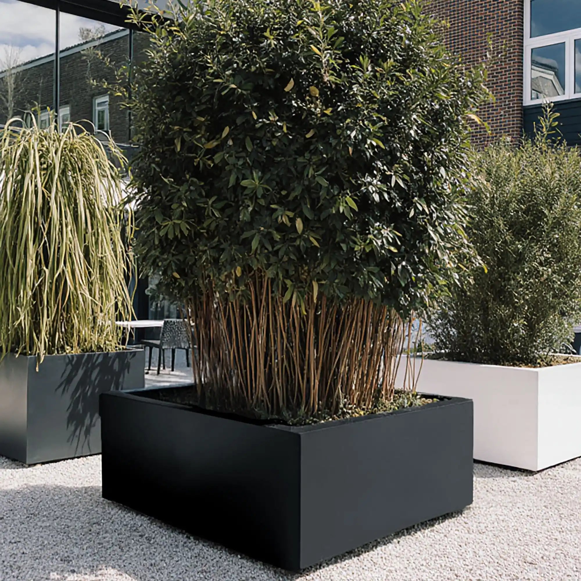 PURE Low Cube Outdoor Fiberglass Planter