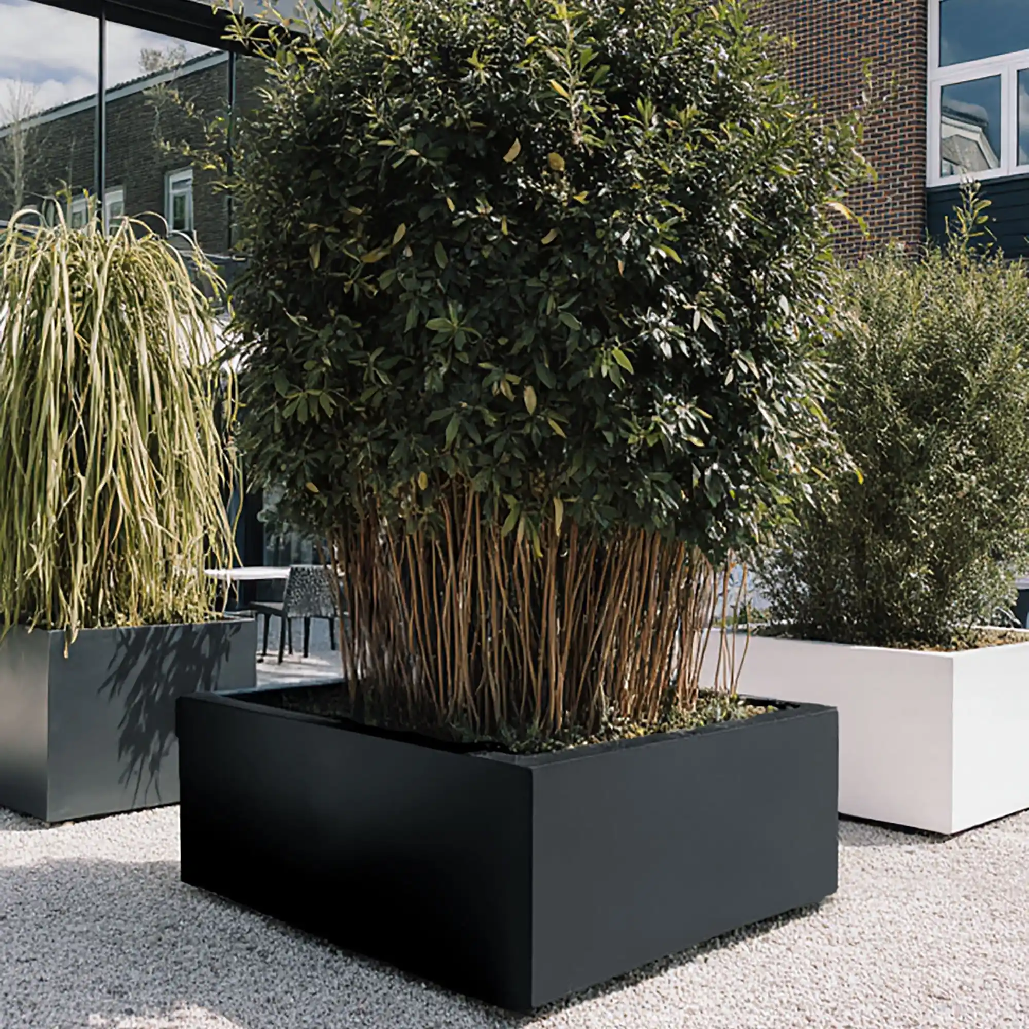 PURE Low Cube Outdoor Fiberglass Planter