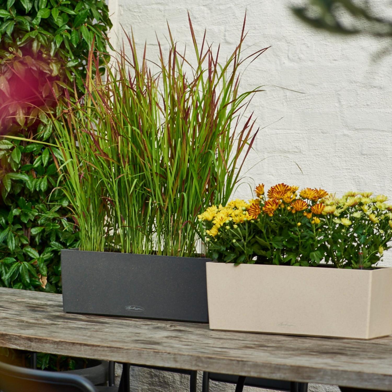 LECHUZA BALCONERA Stone Trough Poly Resin Self-watering Planter