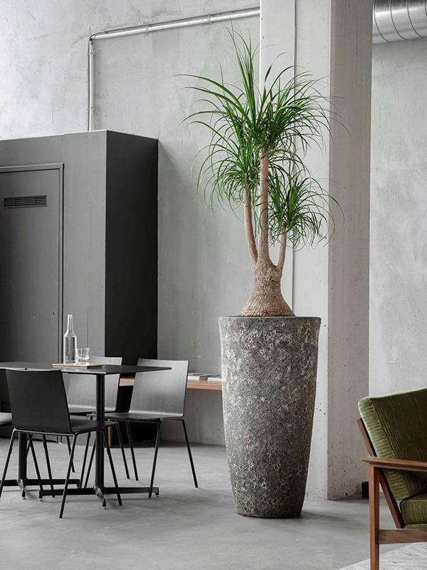 Lava 105cm Tall Planter | Rust Metal Ceramic Large Round Indoor
