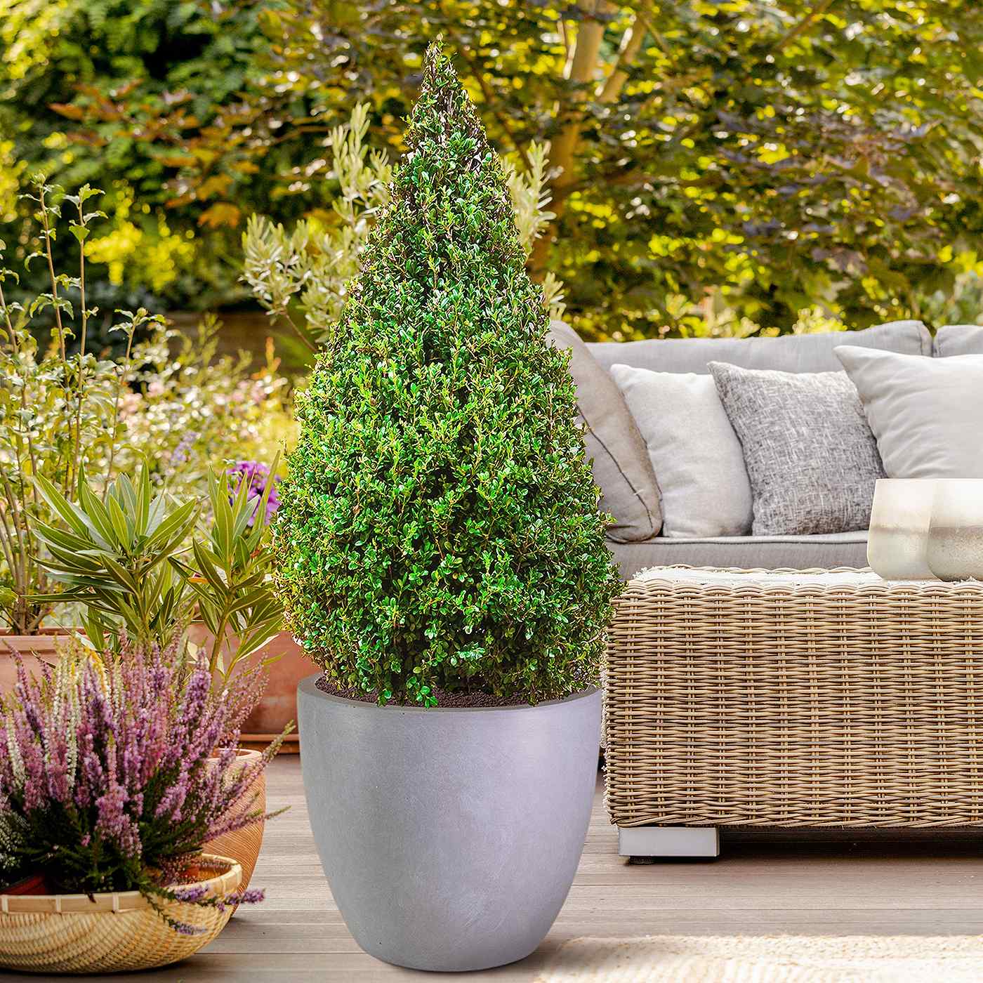 IDEALIST Lite Contemporary Light Concrete Egg Planter