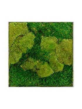 Moss Painting Superline L Square