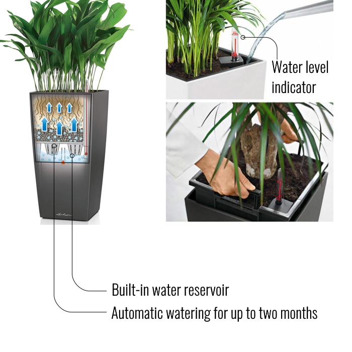 LECHUZA CUBICO Color Square Tall Poly Resin Self-watering Planter