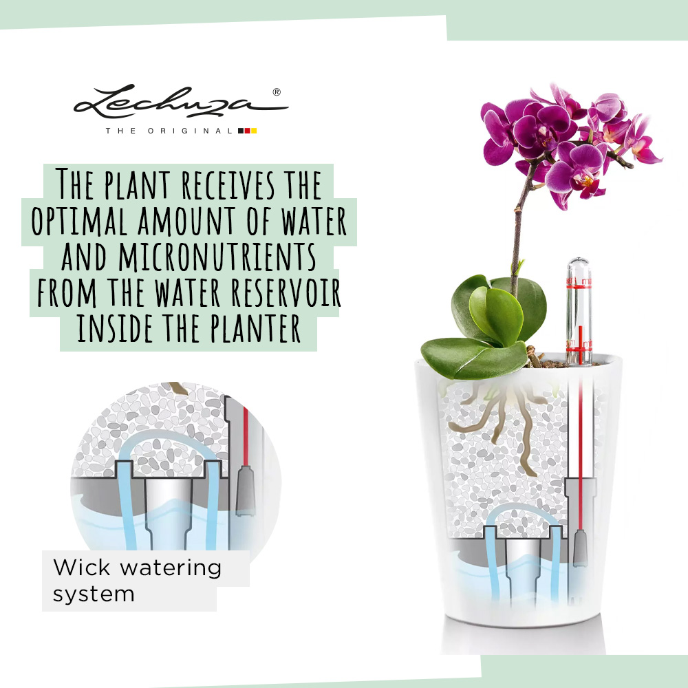 LECHUZA DELTINI|MINI-DELTINI Round Poly Resin Indoor Self-watering Planter