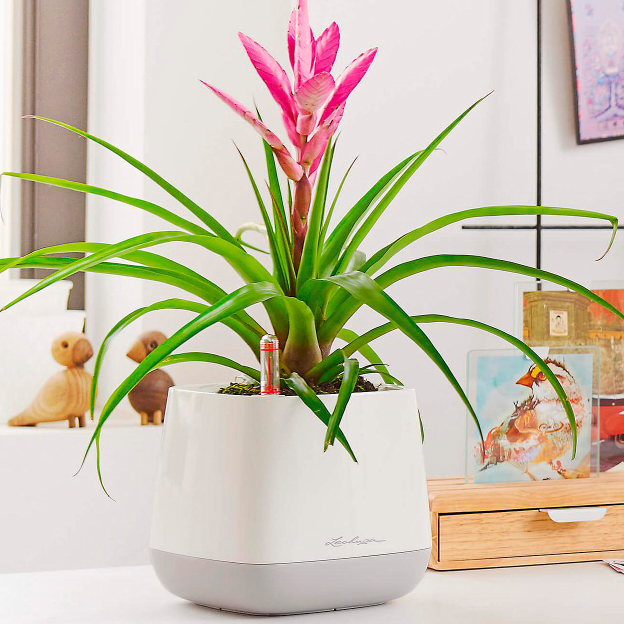 LECHUZA YULA Square Poly Resin Indoor Self-watering Planter
