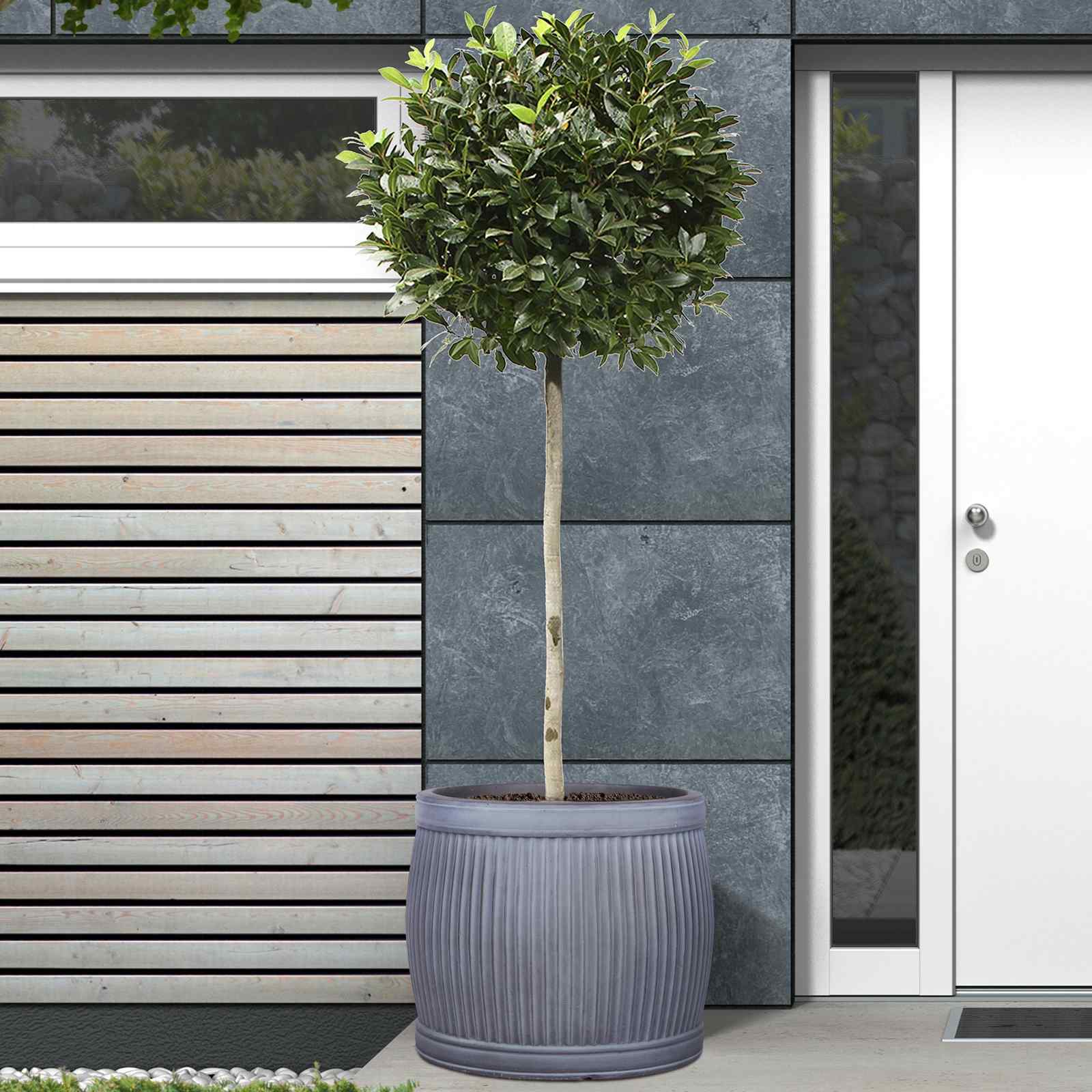 IDEALIST Lite Vertical Ribbed Vintage Style Barrel Round Planter