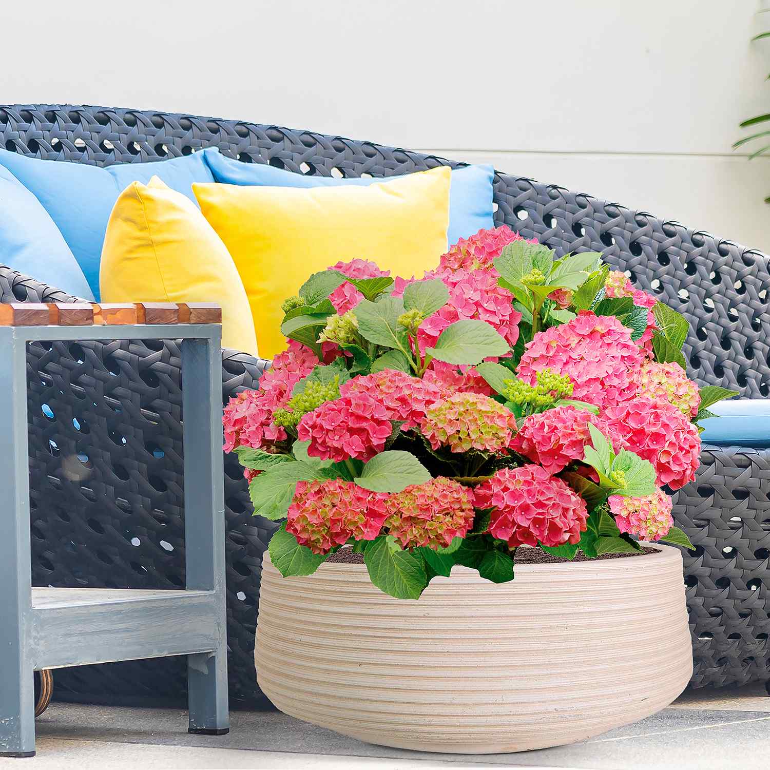 IDEALIST Lite Large Ribbed Light Concrete Bowl Planter