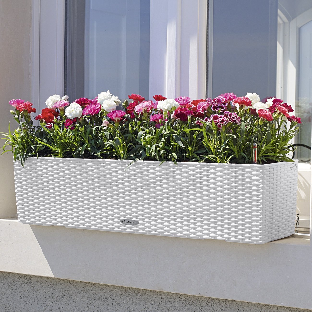 LECHUZA BALCONERA Cottage Trough Poly Resin Self-watering Planter