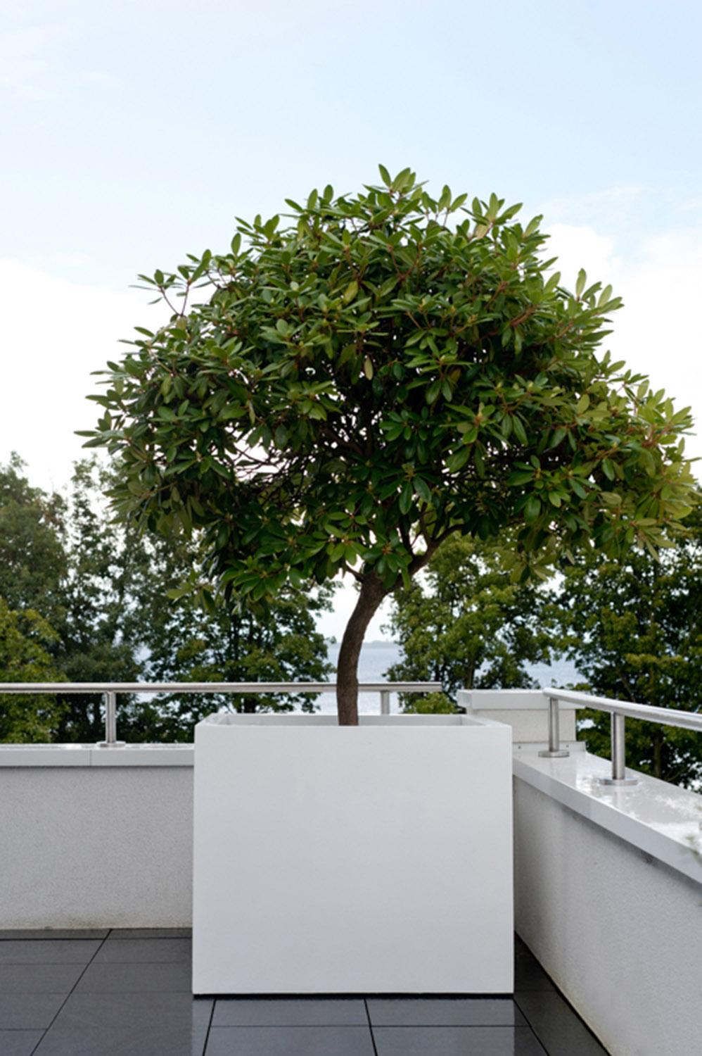 Square Fiberstone Planter by Idealist Premium JUMBO Glossy