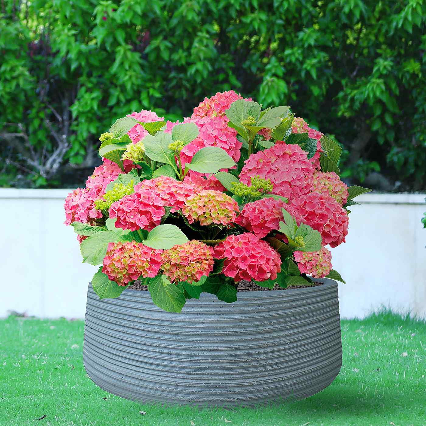 IDEALIST Lite Large Ribbed Light Concrete Bowl Planter