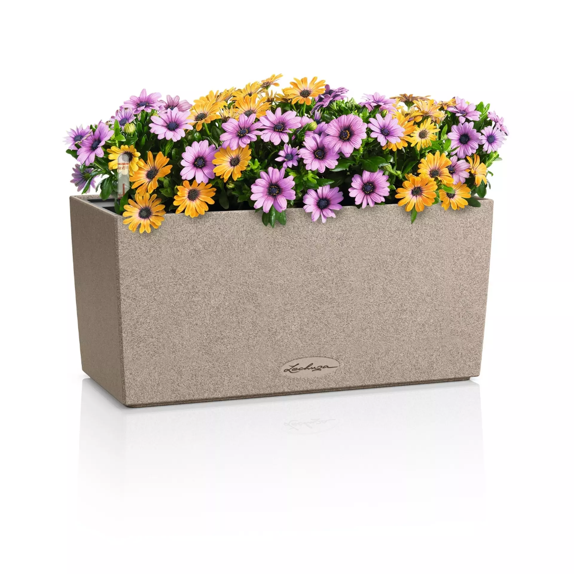 LECHUZA BALCONERA Stone Trough Poly Resin Self-watering Planter