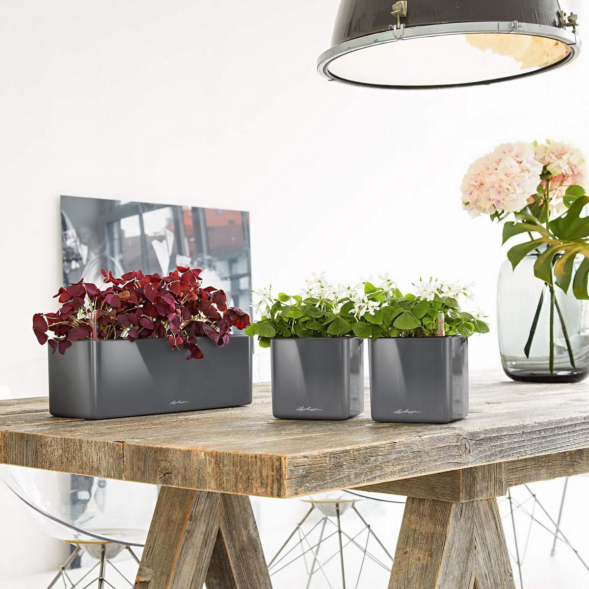 LECHUZA CUBE Glossy Triple Trough Poly Resin Self-watering Planter