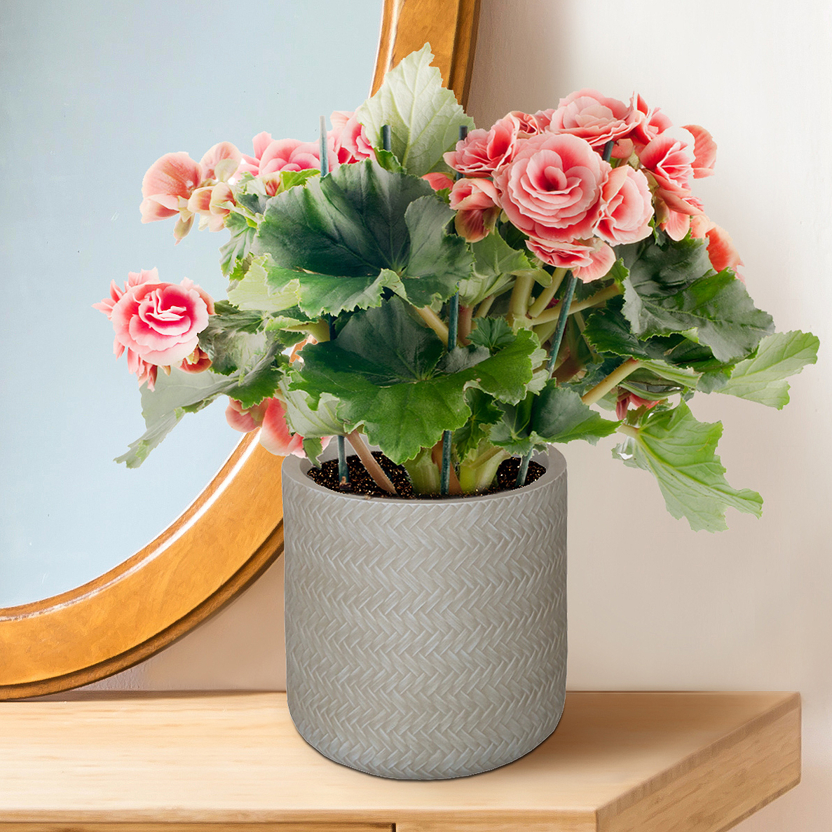 IDEALIST Lite Plaited Style Table and Hanging Cylinder Round Plant Pot Dual Use Indoor Planter