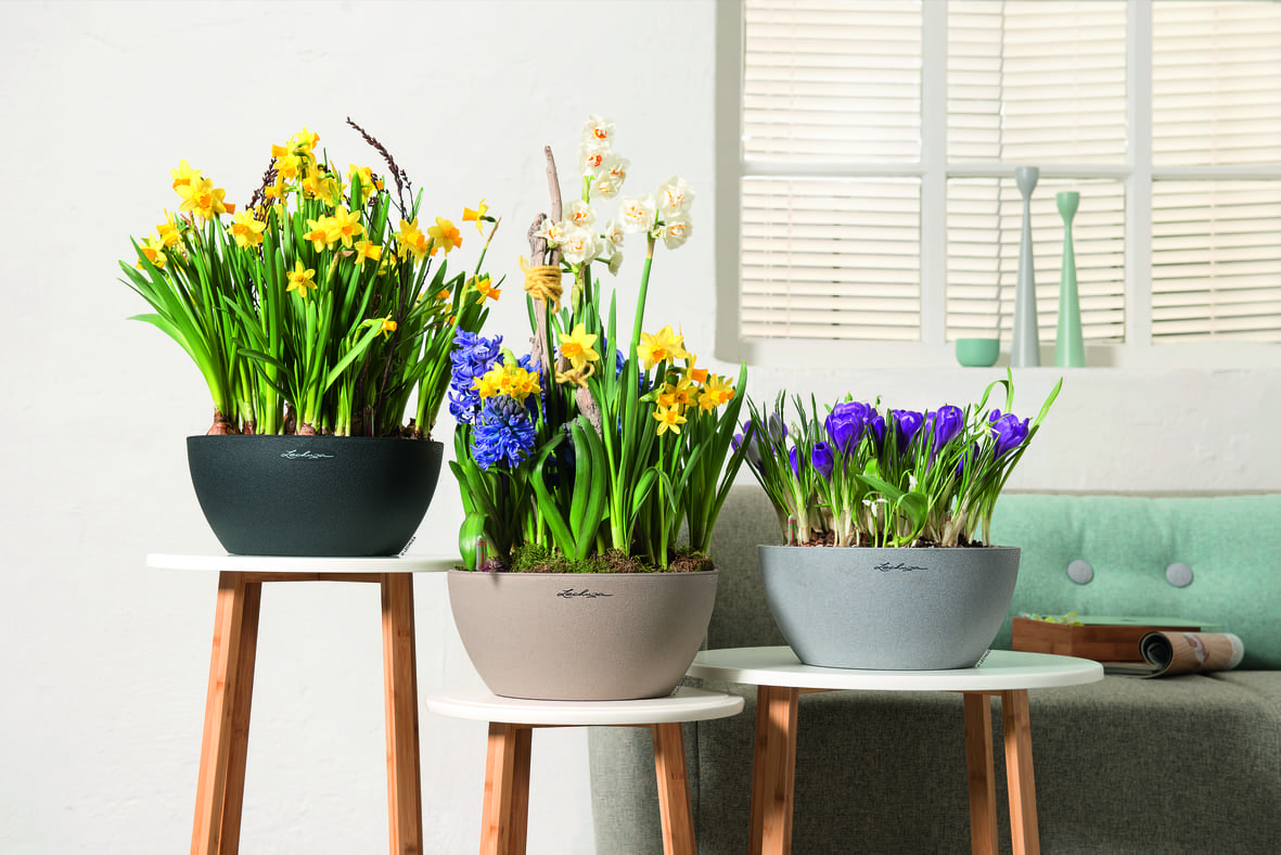How to make planters on legs last longer: care and maintenance tips