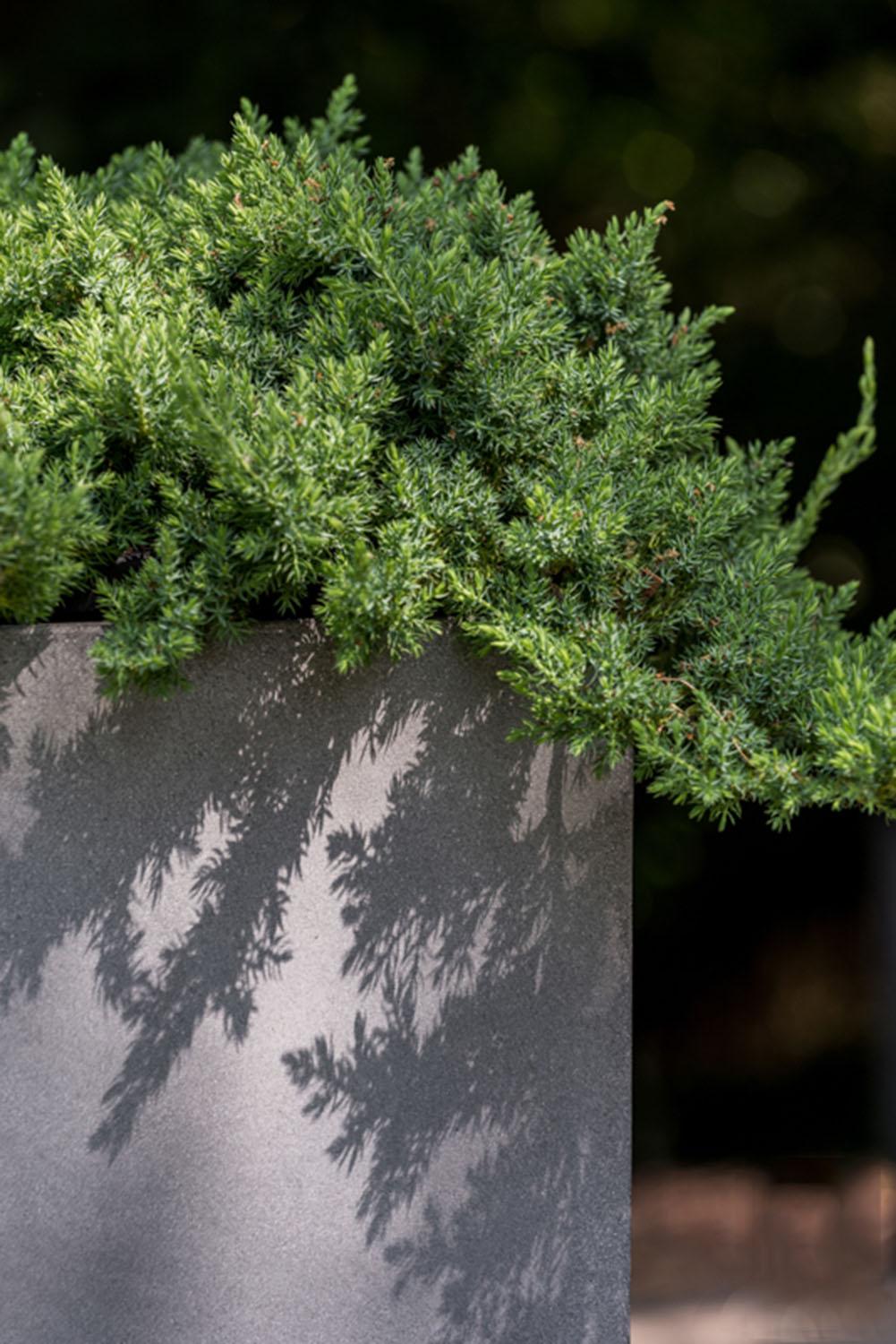 WINDOW BOX Fiberstone Planter by Idealist Premium Balcony