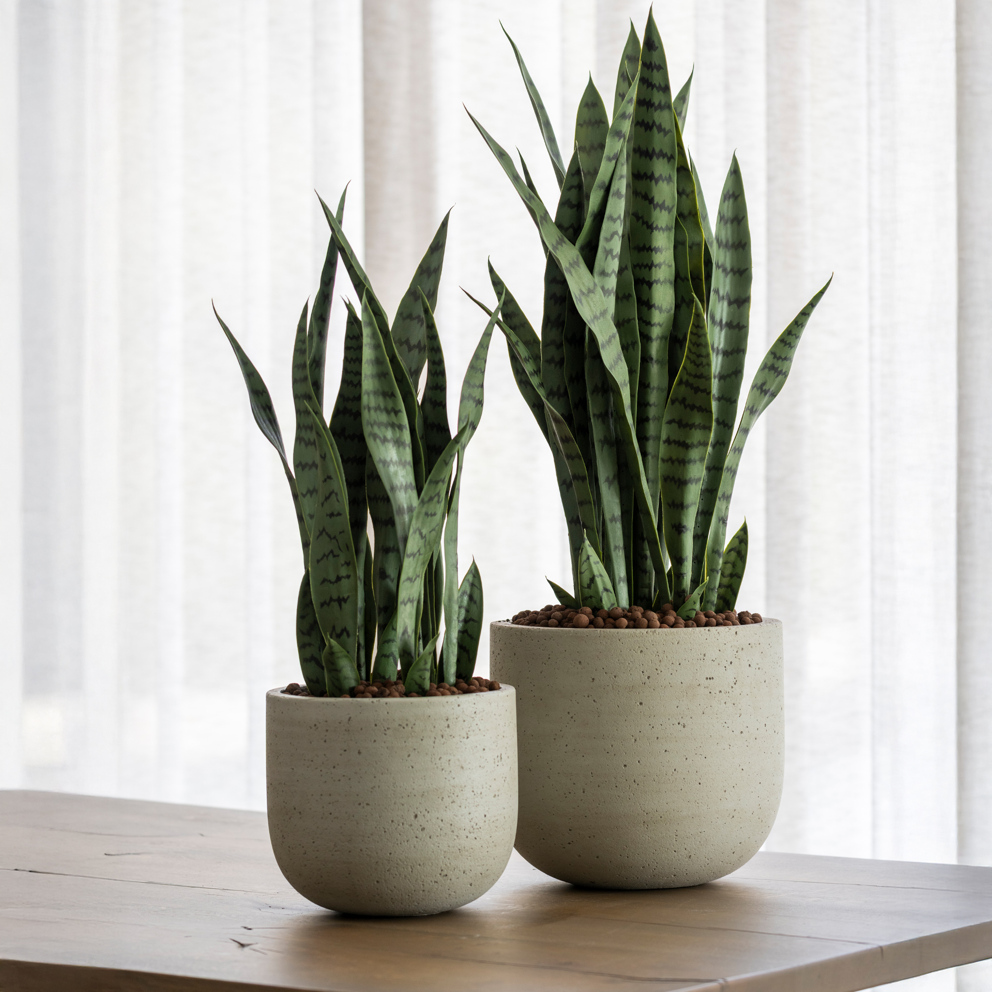 Cement & Stone Round Planter | Indoor and Outdoor Plant Pot