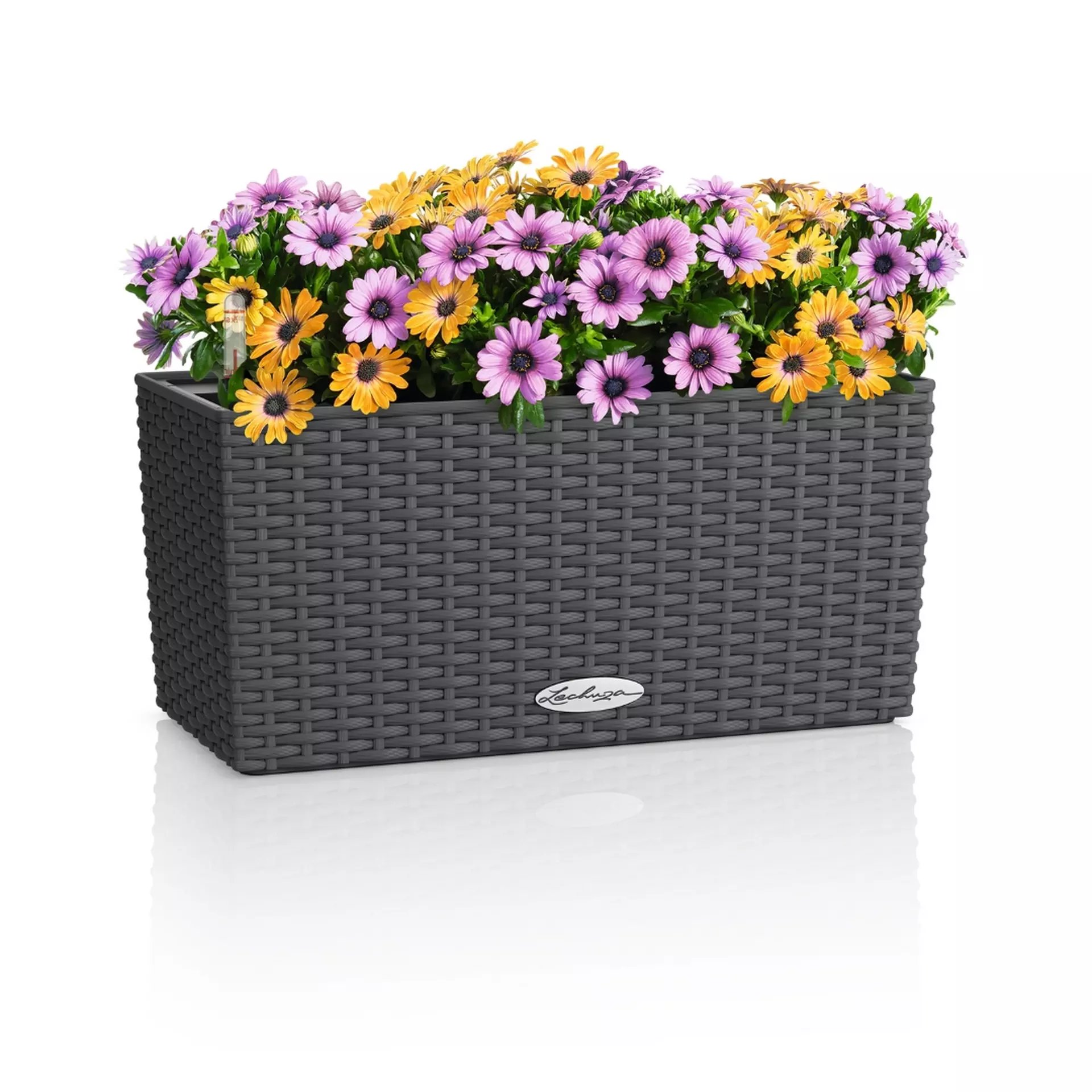 LECHUZA BALCONERA Cottage Trough Poly Resin Self-watering Planter