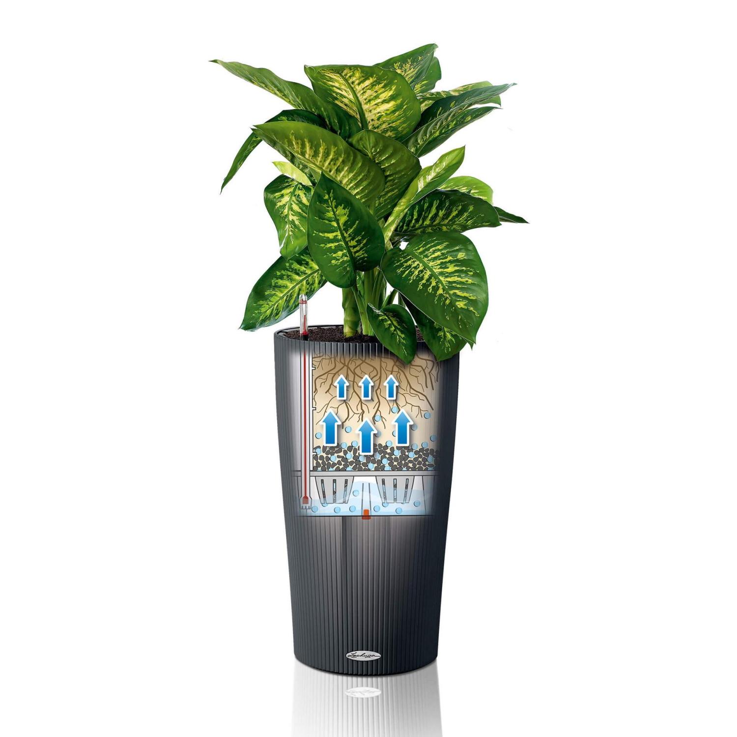 LECHUZA CILINDRO Color Round Tall Poly Resin Self-watering Planter