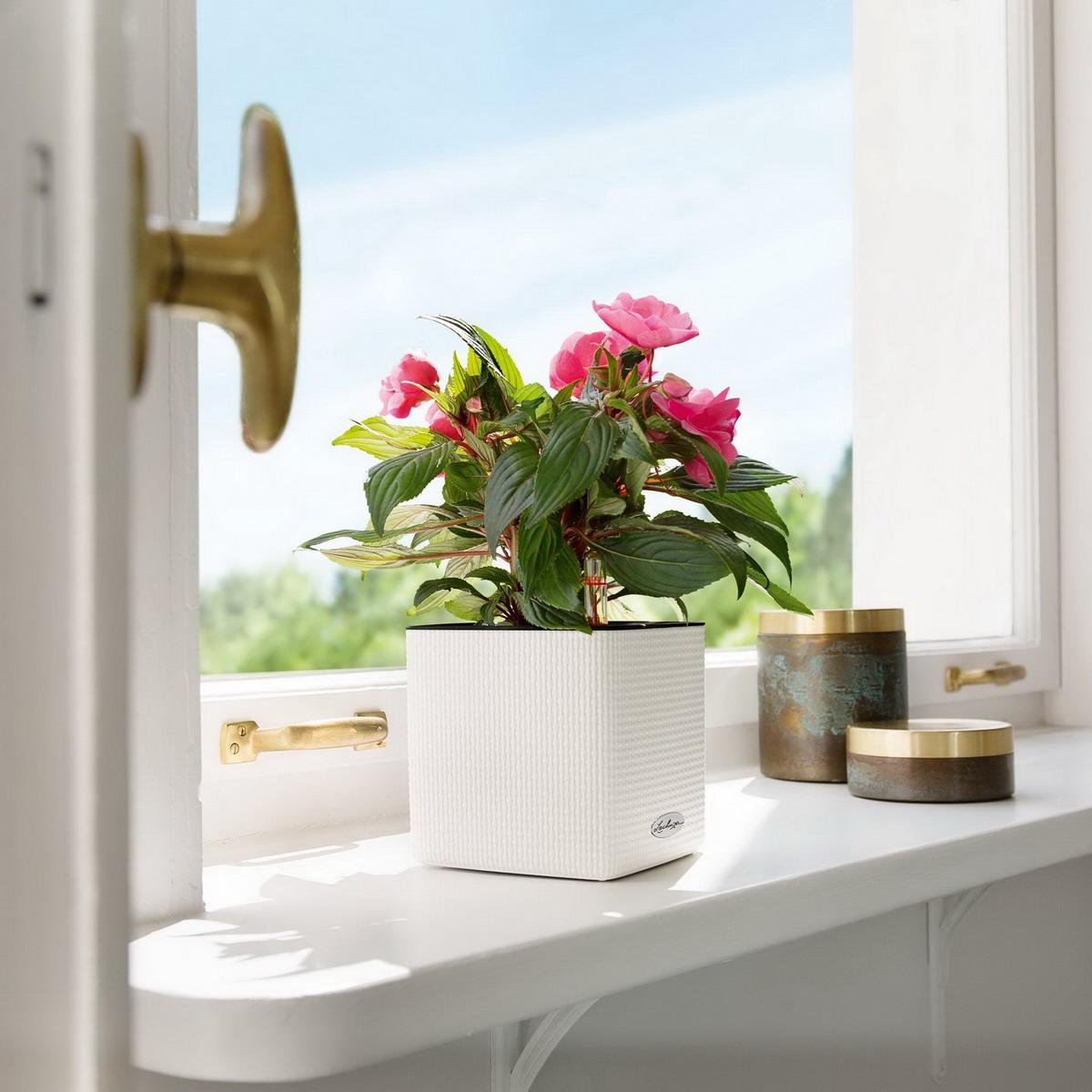 LECHUZA CUBE Color Square Poly Resin Indoor Self-watering Planter