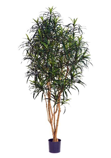 Dracaena Anita Artificial Tree Plant