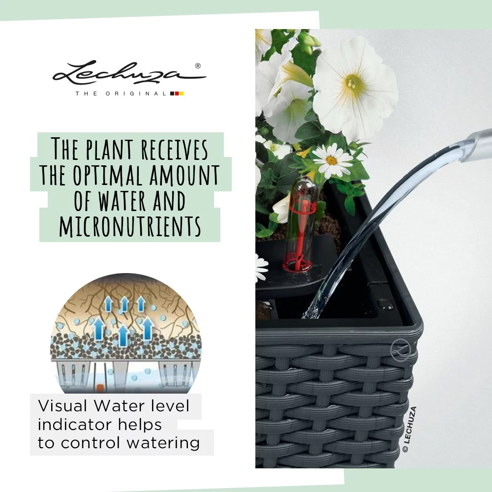 LECHUZA BALCONERA Cottage Trough Poly Resin Self-watering Planter