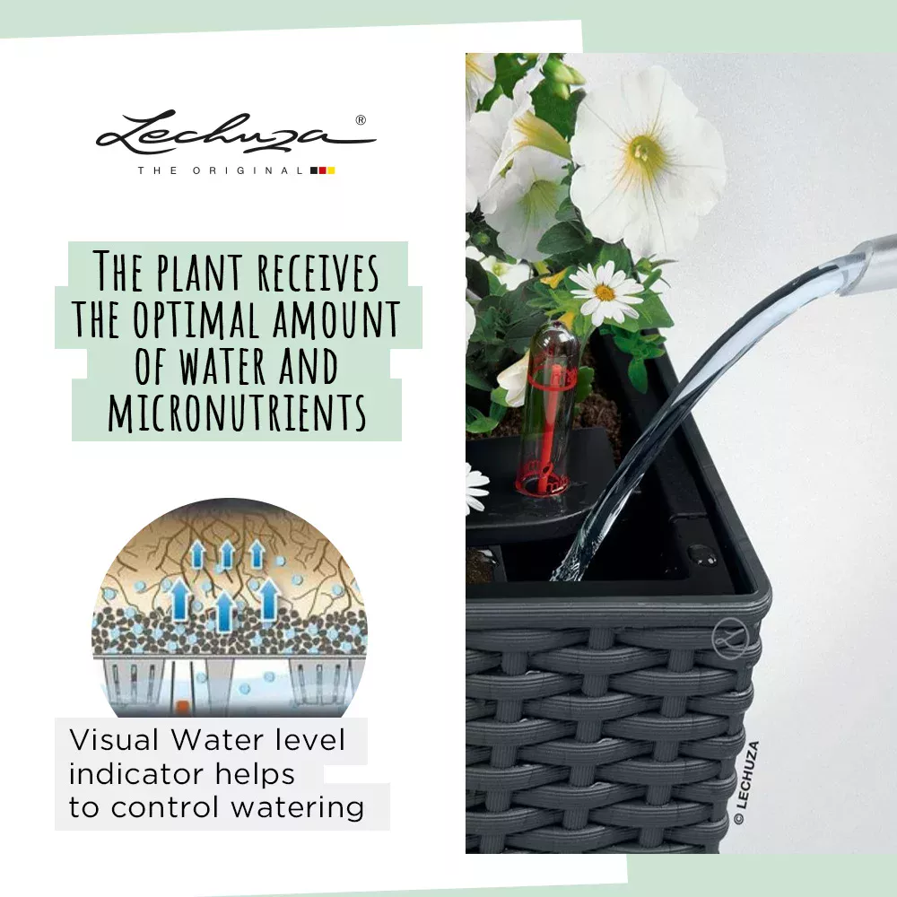 LECHUZA BALCONERA Cottage Trough Poly Resin Self-watering Planter